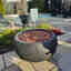 Photos des clients 1 de 1