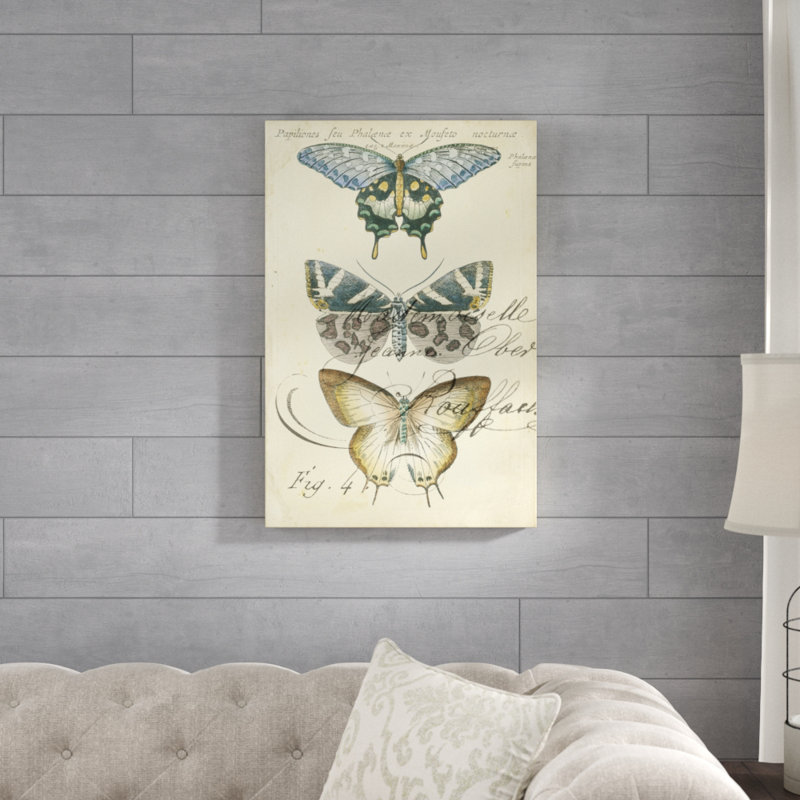 Butterfly Ephemera IV by Chariklia Zarris - Painting Print, 76cm H x 51cm W, Wrapped Canvas