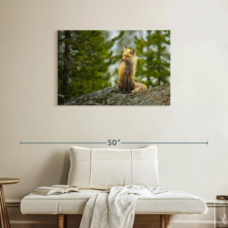 Brampt Red Fox Vixen, 24" H x 36" W