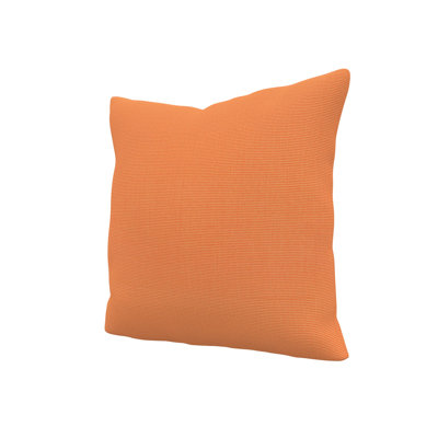 Gabi Sunbrella® Indoor/Outdoor Throw Pillow