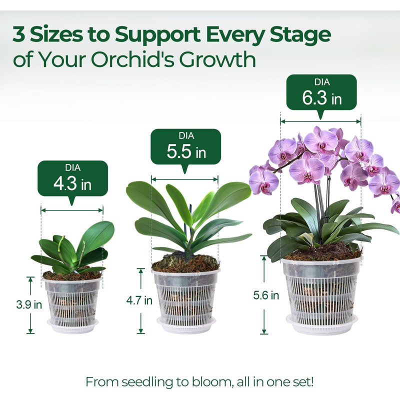 Clear Orchid Pots With Drainage & Saucers (set Of 9)