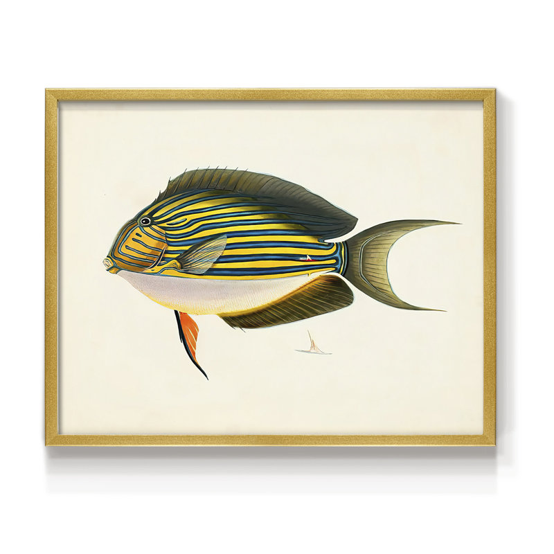 Tropical Fish Collection I -Framed Print - Restickable