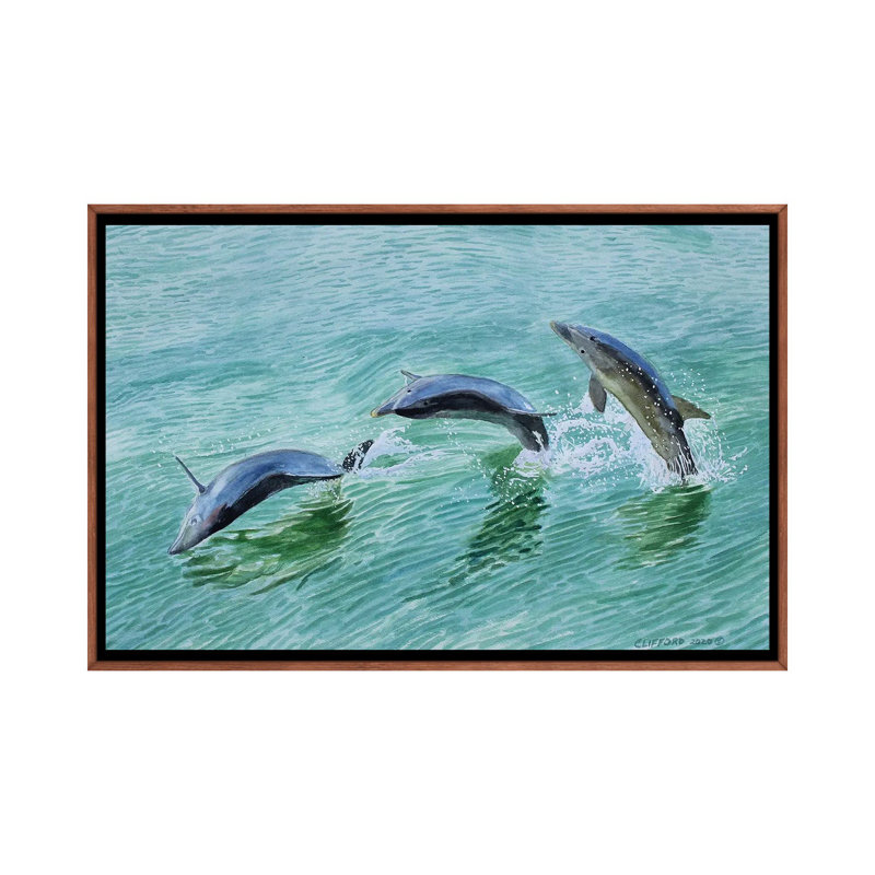 Dolphin Splash 1 Piece Floater Frame Wall Art on Canvas