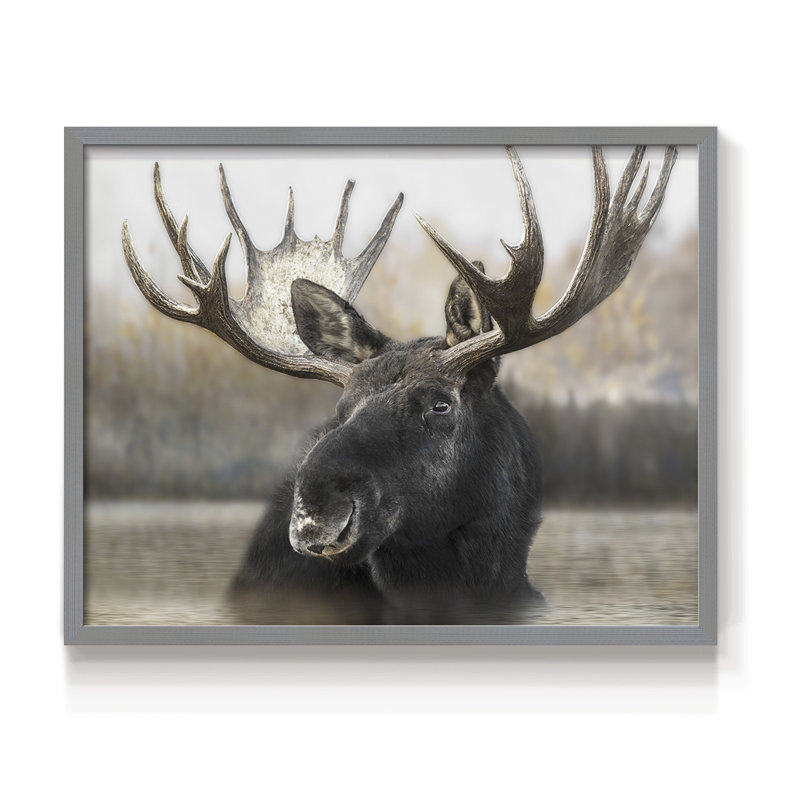 Moose Spa - reproduction encadrée - réarmable, H 16 po x l 20 po, Gris