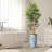 Artificial Tree in Blue and White Planter Fake Bamboo Silk Tree (Plant Pot Plus Tree)-103684153