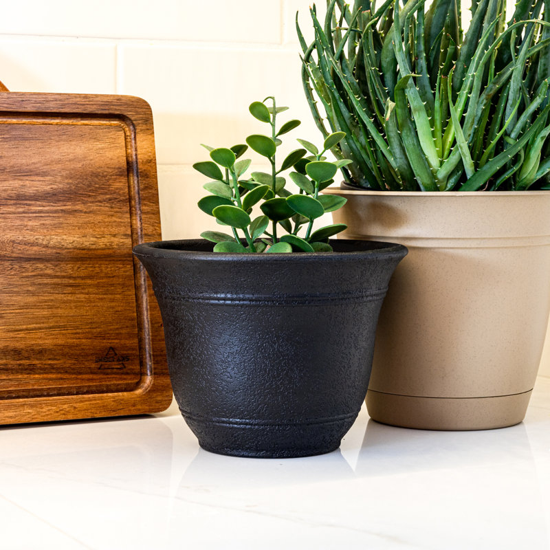 The HC Companies Sierra Self-Watering Pot with Internal Disk, 10", Black Onyx