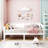 Modern Design Daybed-793326892-793326895