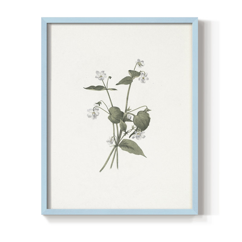 «Vintage Floral Print», impression encadrée CCV - bois massif, H 21 po x l 17 po, Bleu