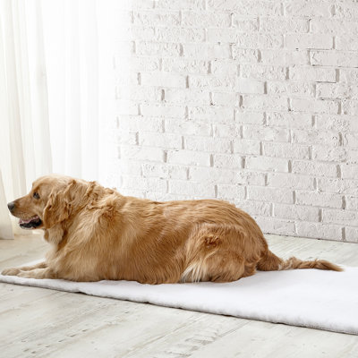 Chunky Bunny Coma Inducer Luxury Faux Fur Dog Bed Mat