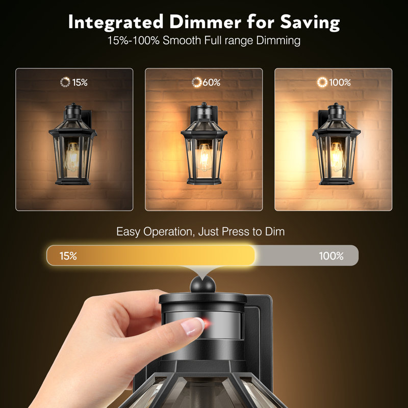 Motion Sensor & Dusk To Dawn Outdoor Wall Lantern With Matte Black, Matte Black