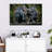 Crowle Chimps And Bonobos-111884649