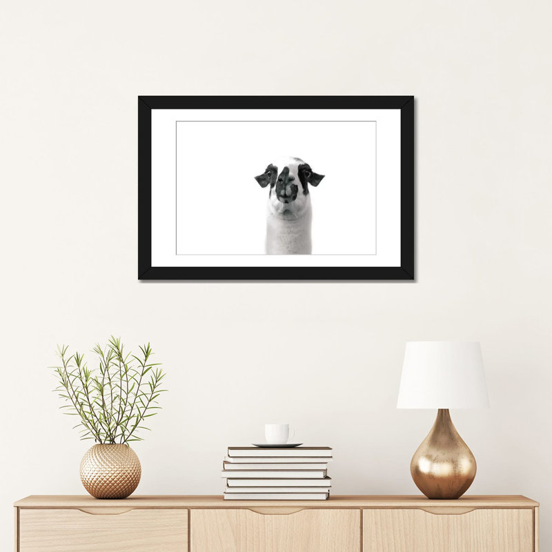 «L amovible Llama II» par Laura Marshall, reproduction d'art sur toile tendue, H 16 po x l 24 po x P 1 po, Blanc