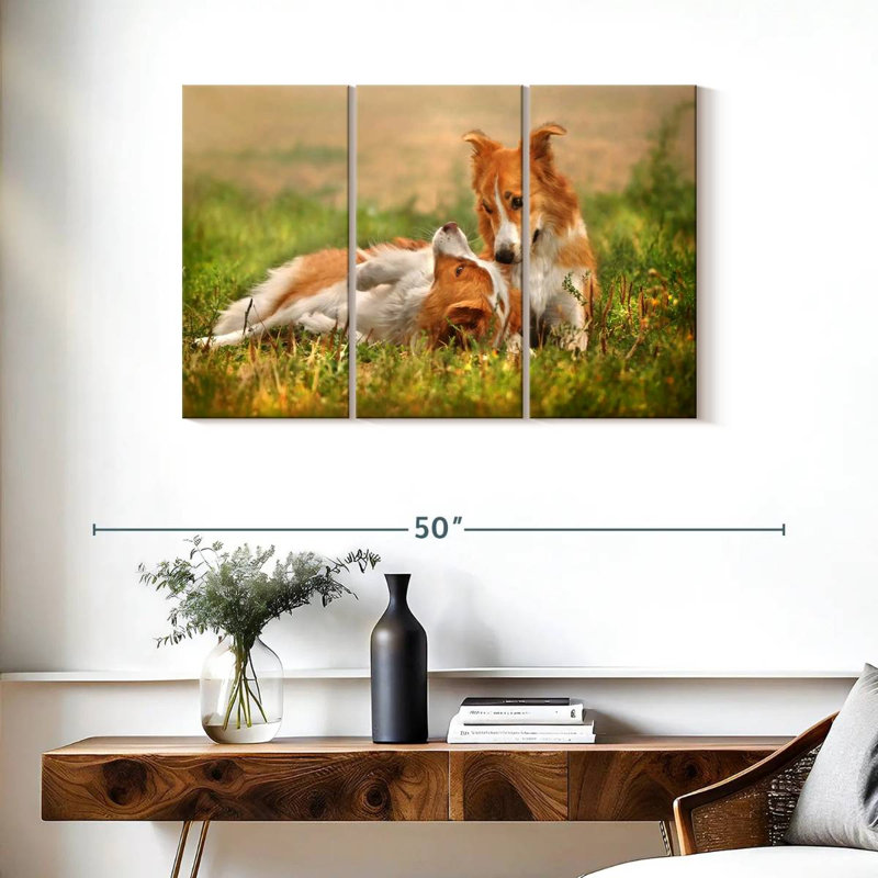 Brampt Border Collie Playtime, 24" H x 38" W