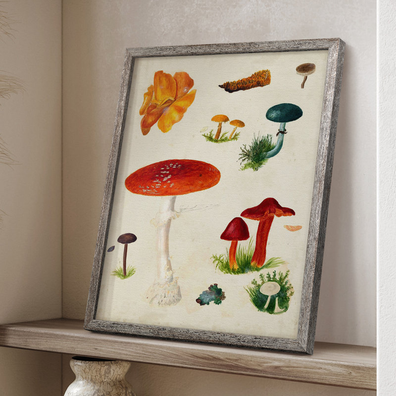 Reproduction encadrée champignon Mushroom Species, H 15 po x l 12 po
