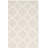 Desota Hand Woven Cotton Geometric Rug-20658466