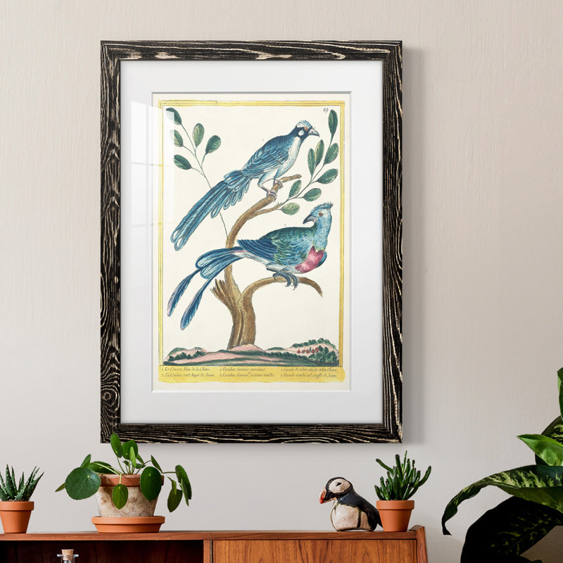 Pastel Birds VI Premium encadré mat - prêt à être accroché, Cadre noir, H 24 po x l 20 po x P 1 po