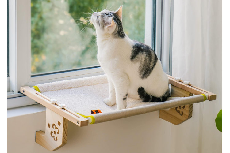 Cat looking out of a window on a cat window shelf for how to pet proof your home for cats and dogs