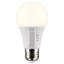 9 Watt LED Bulb