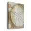 Toile tendue de qualité supérieure Dry Sand Dollar II - prête à être accrochée-644691299-663790233-663790238