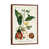 Classic Wood Floater Framed is unavailable