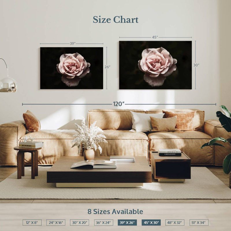 Rose œillet Harnek