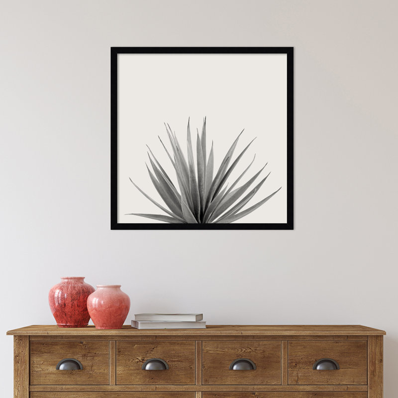 «Haze Agave Succulent», reproduction de photo encadrée, H 25 po x l 25 po, Cadre noir