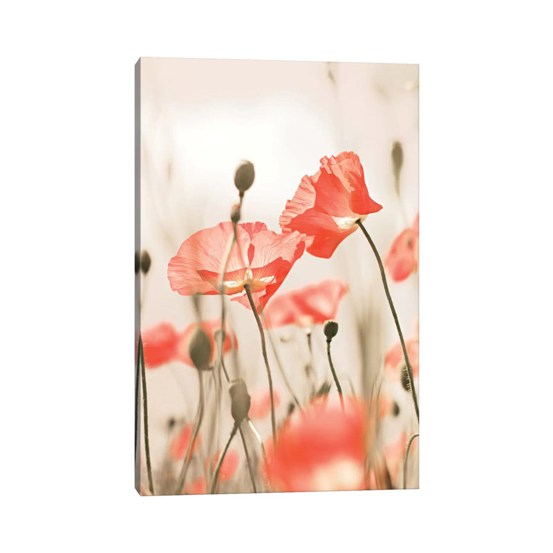 Poppy Flowers Peach 1 Piece Wall Art on Canvas, 30.48cm H x 20.32cm W x 1.91cm D, Wrapped Canvas