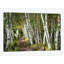 «A Walk Through the Birch Trees» par Danny Head - impression d'art graphique-834831180-834831172-834831289