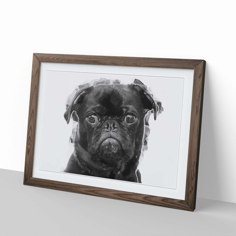 Pug Dog in Abstract - Framed Print, Walnut, 50cm H x 76cm W x 2cm D