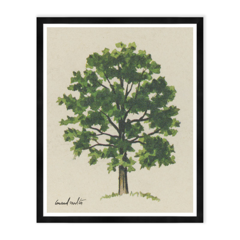 Meadow Tree Iv Print