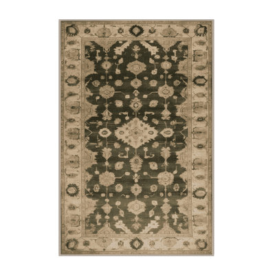 Machine Washable Overdyed Brown Area Rug