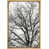 Natural Floater Framed