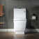 Dual-Flush Elongated One-Piece Toilet