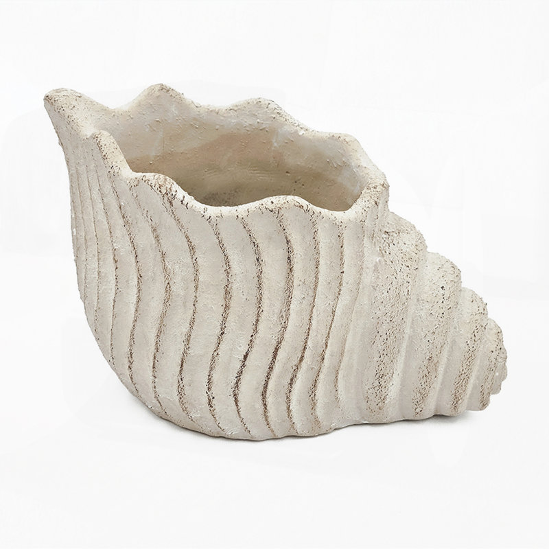 Ornement décoratif en forme de coquillage et sable en forme de coquillage pour jardin, ensemble de 1