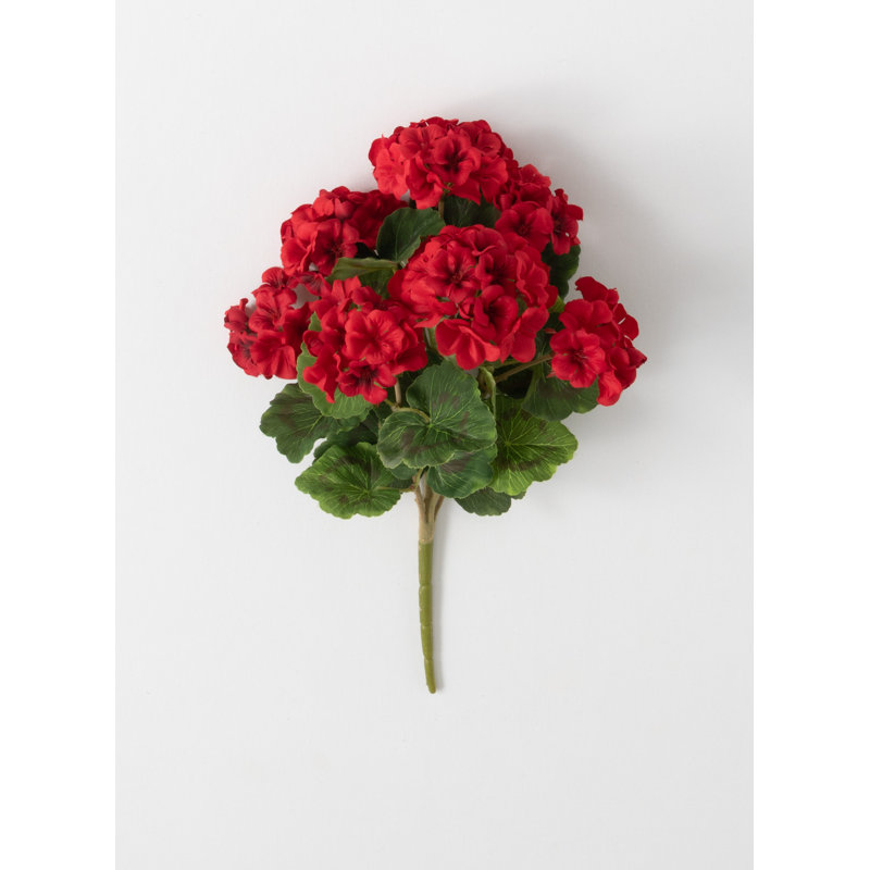 Geranium Arrangement, Red