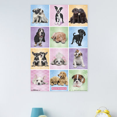 Animals Paper Print
