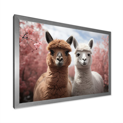 Alpagas Graceful Alpacas II - reproduction sur toile
