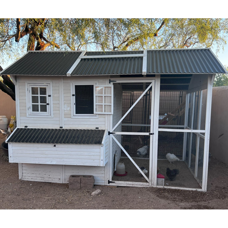 Zylina White Wooden Chicken Coop with Run and Nesting Bays