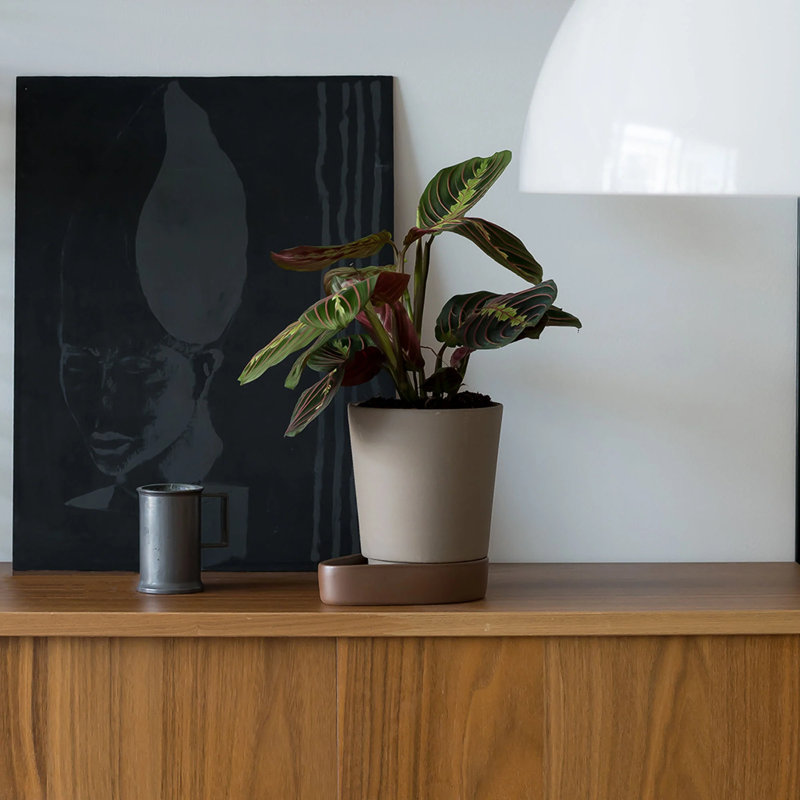 Sip Planter, Stone