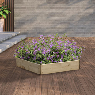 Pentagonal Raised Bed 15cm High, 60cm each Side
