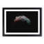 Moon - Picture Frame Graphic Art Print-55732184-55732190