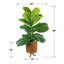 4-Foot Fig in Basket Stand