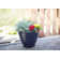 Beehive Pot Planter