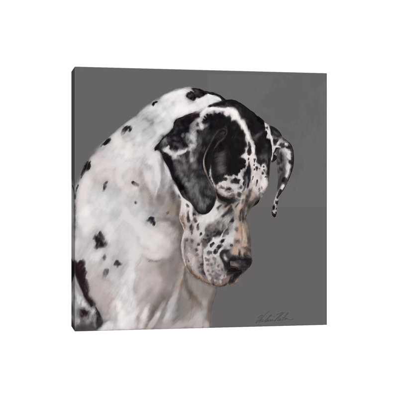 Great Dane by Vicki Newton - Wrapped Canvas Print, 45.72 cm H x 45.72 cm W x 1.91 cm D