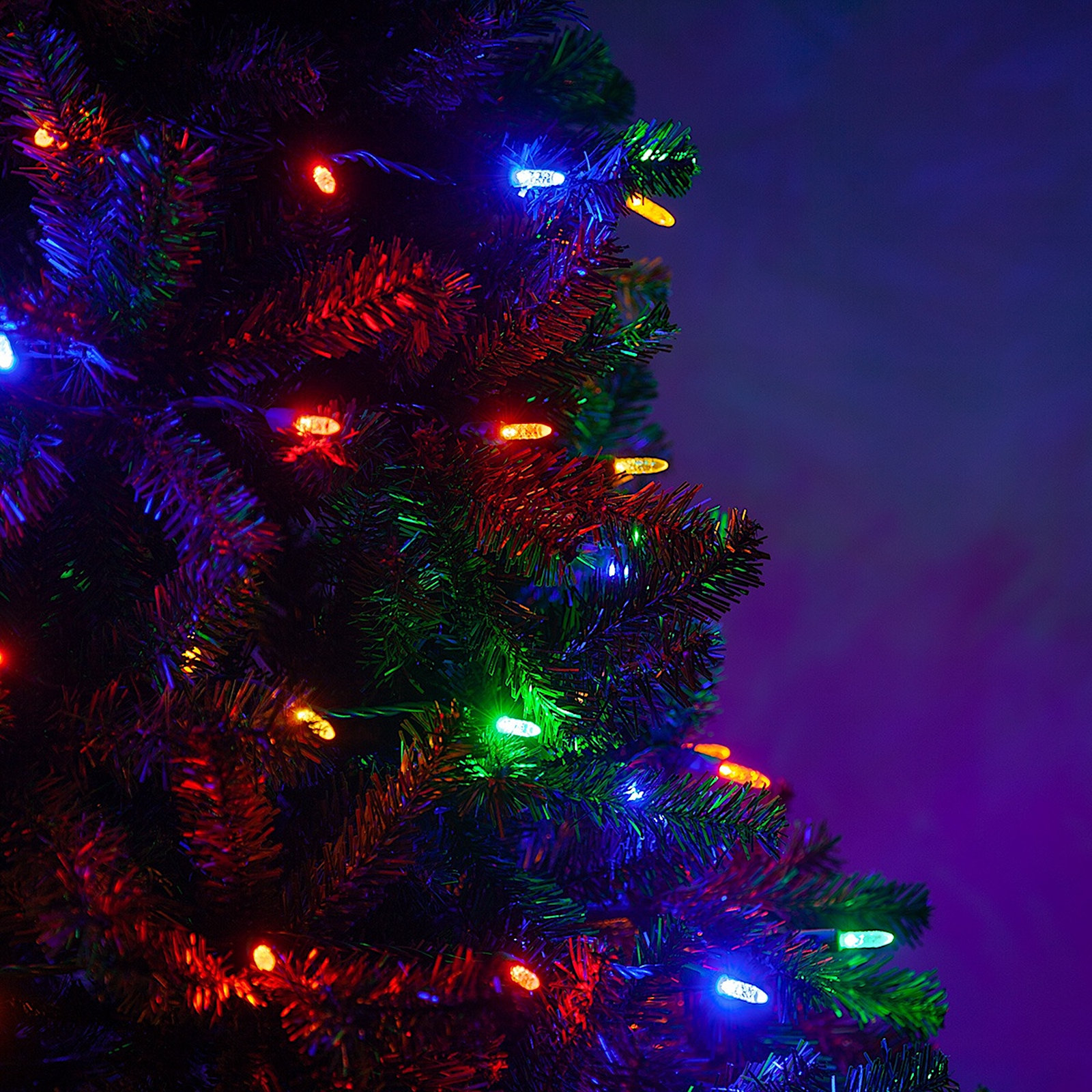 24' 70-Light LED Christmas String Lights, Multicolor 1
