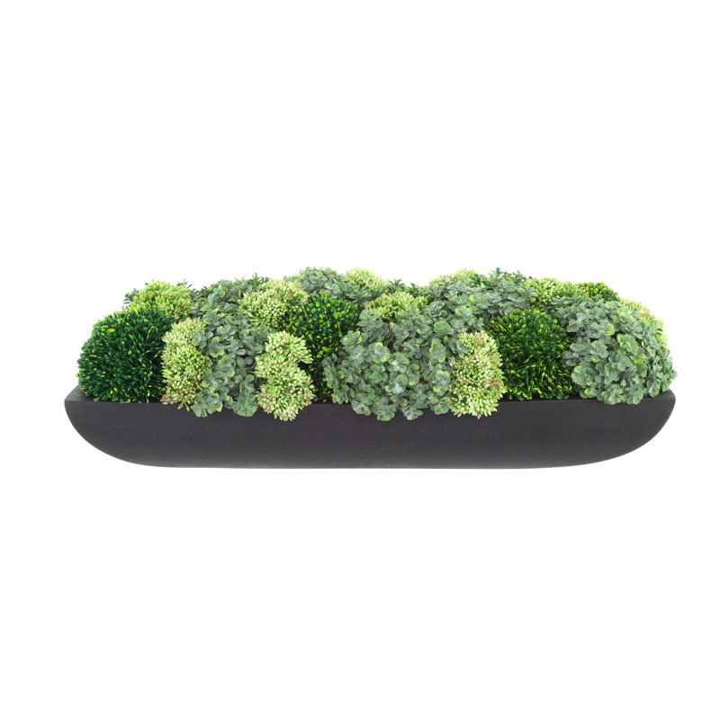 Jerez Faux Succulent in Fiberstone Planter, Black