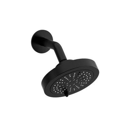 Pomme de douche à 6 fonctions avec accoudoirs 6 po Riobel