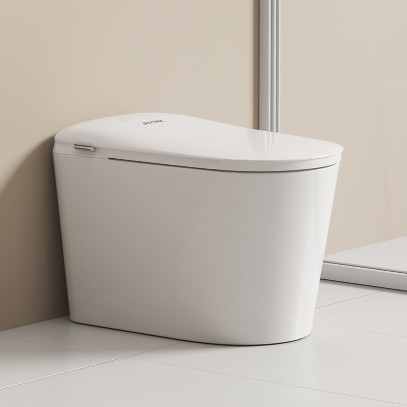 Toilette intelligente - siège chauffant à hauteur Ada, chasse d'eau sans réservoir, capteur de pied, veilleuse, une pièce allongée moderne pour la salle de bain