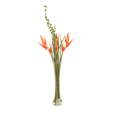 Heliconia's & Seed Pods in Glass Vase