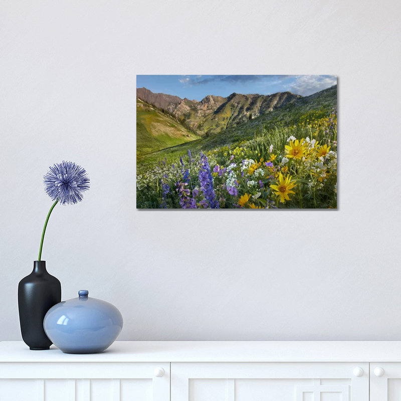 Larkspur and Sunflowers, Albion Basin, Wasatch Range, Utah 1 Piece Wrapped Canvas Wall Art, 30.48 cm H x 45.72 cm W
